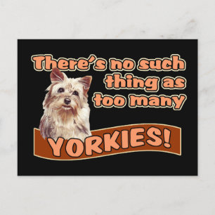 YORKSHIRE TERRIERS POSTCARD