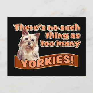 YORKSHIRE TERRIERS POSTCARD