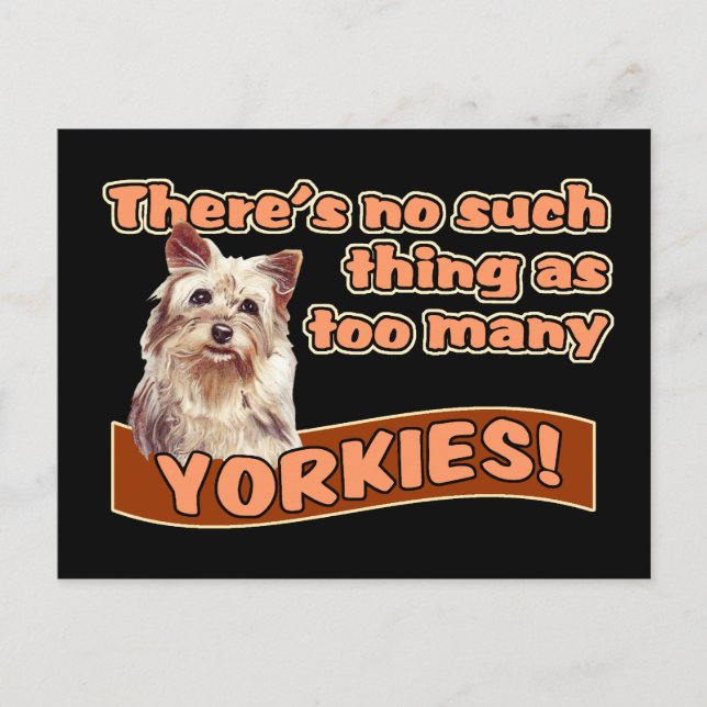 YORKSHIRE TERRIERS POSTCARD (Front)
