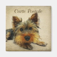 Yorkshire Vintage Postcard