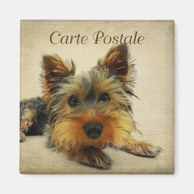 Yorkshire Vintage Postcard Magnet (Front)