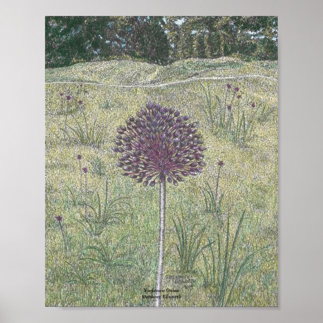 Yorktown Onion Poster (Front)