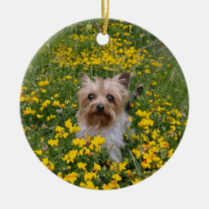 Yorshire Terrier field Ceramic Tree Decoration