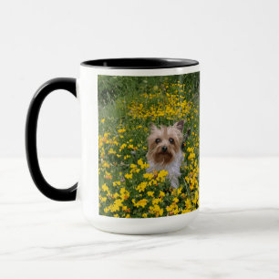Yorshire Terrier field Mug