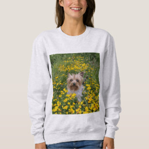 Yorshire Terrier field Sweatshirt