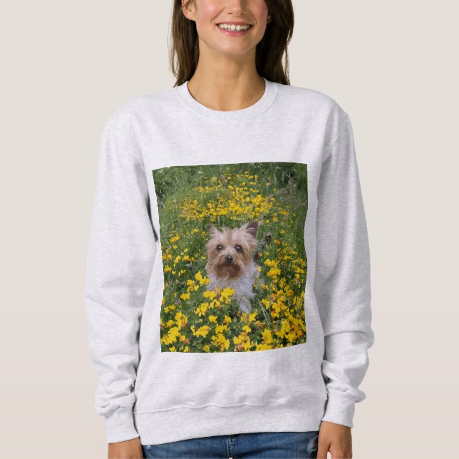 Yorshire Terrier field Sweatshirt (Front)