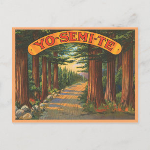 Yosemite California vintage scene Postcard