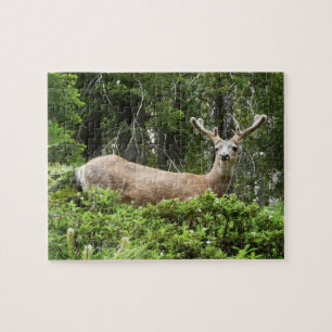 Yosemite Deer Nature Photography Jigsaw Puzzle