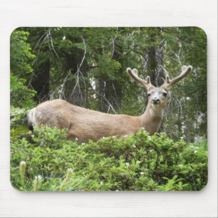 Yosemite Deer Nature Photography Mouse Mat