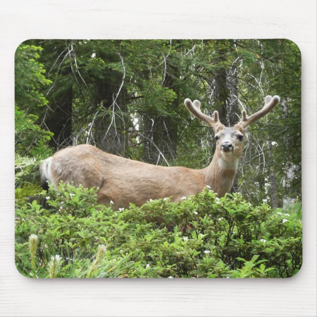 Yosemite Deer Nature Photography Mouse Mat (Front)