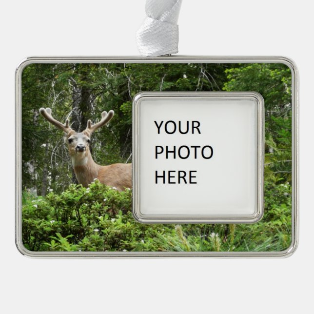 Yosemite Deer Nature Photography Silver Plated Framed Ornament (Front)