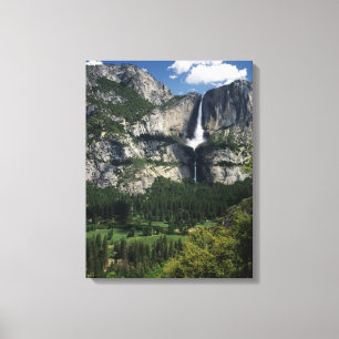Yosemite Falls and Valley Canvas Print