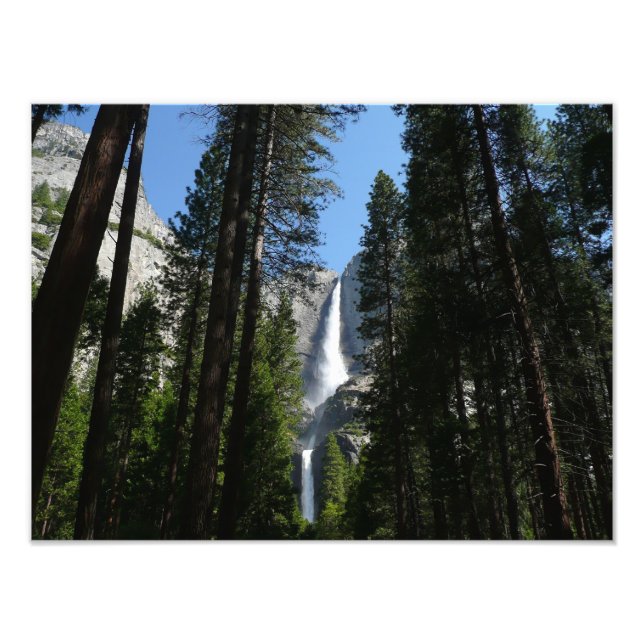 Yosemite Falls and Woods Landscape Photography Photo Print (Front)