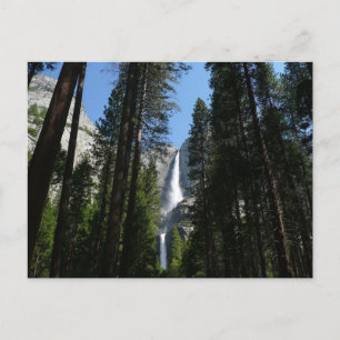 Yosemite Falls and Woods Landscape Photography Postcard