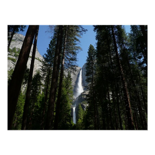 Yosemite Falls and Woods Landscape Photography Poster (Front)
