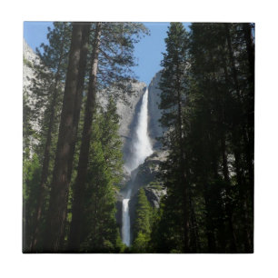 Yosemite Falls and Woods Landscape Photography Tile