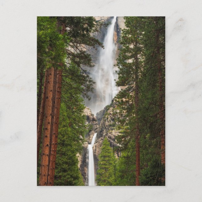 Yosemite Falls, California Postcard (Front)