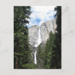 Yosemite Falls Postcard