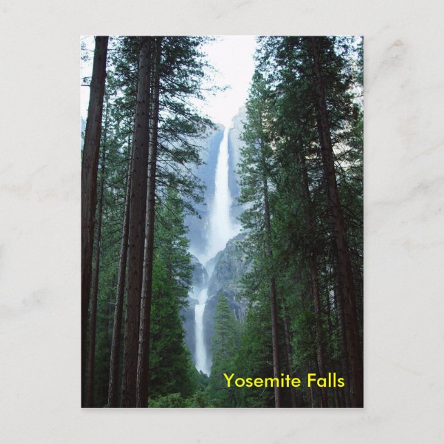 Yosemite Falls Postcard (Front)