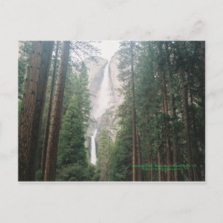 Yosemite Falls Postcards