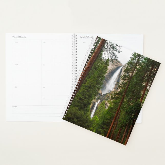 Yosemite Falls through the Forest Planner (Display)