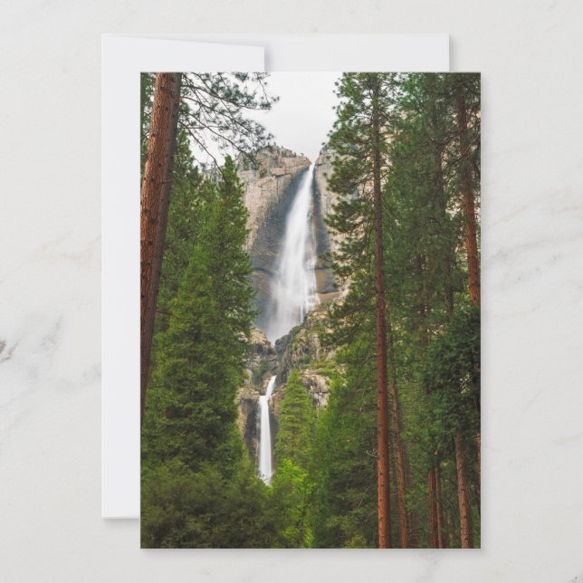 Yosemite Falls through the Forest Thank You Card (Front)