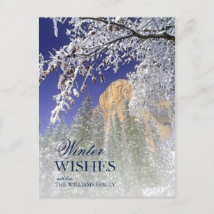 Yosemite framed by snow-covered black oaks postcard