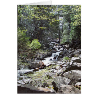 Yosemite in Springtime:  Bridalveil Falls Trail