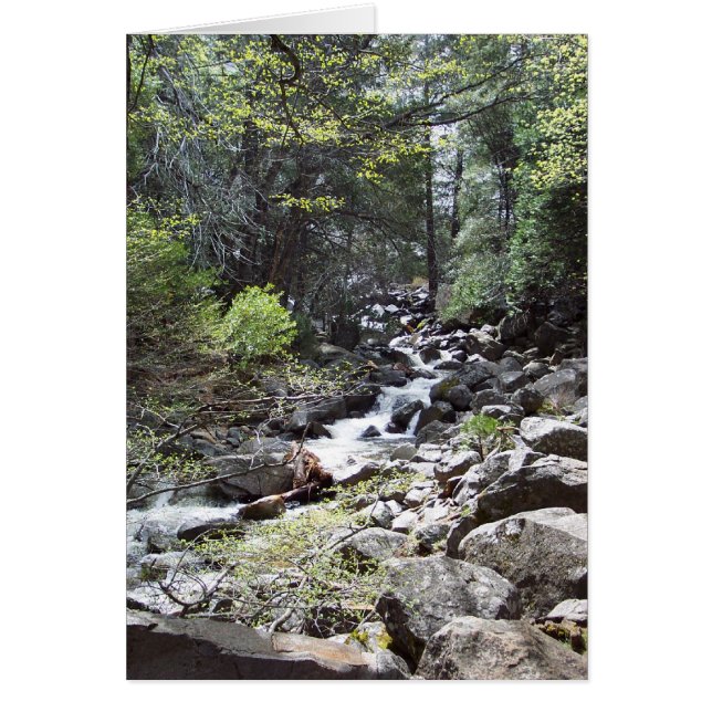 Yosemite in Springtime:  Bridalveil Falls Trail (Front)