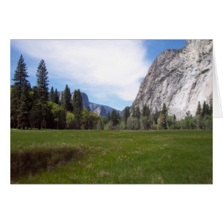 Yosemite in Springtime:  Meadow View
