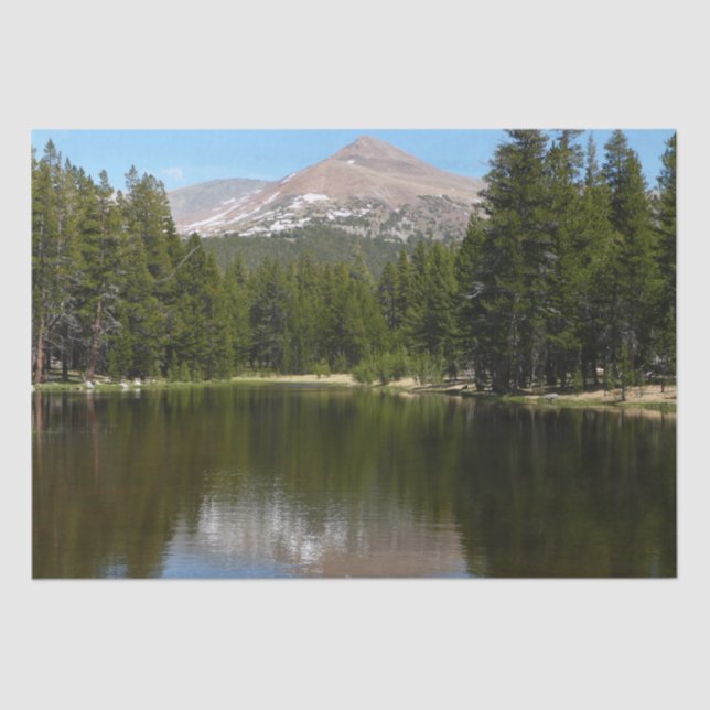 Yosemite Lake Reflection Tissue Paper (Front)