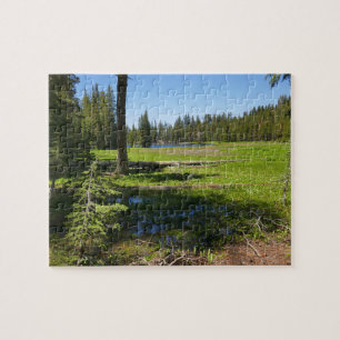 Yosemite Meadow with Shooting Stars Jigsaw Puzzle