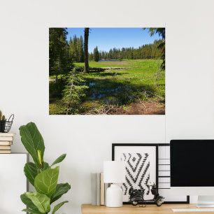 Yosemite Meadow with Shooting Stars Poster