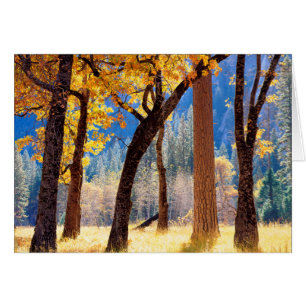 Yosemite National Park