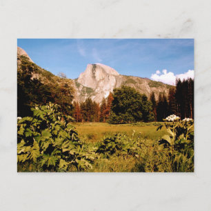 Yosemite National Park California Postcard