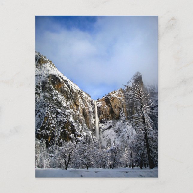 Yosemite National Park, California Postcard (Front)