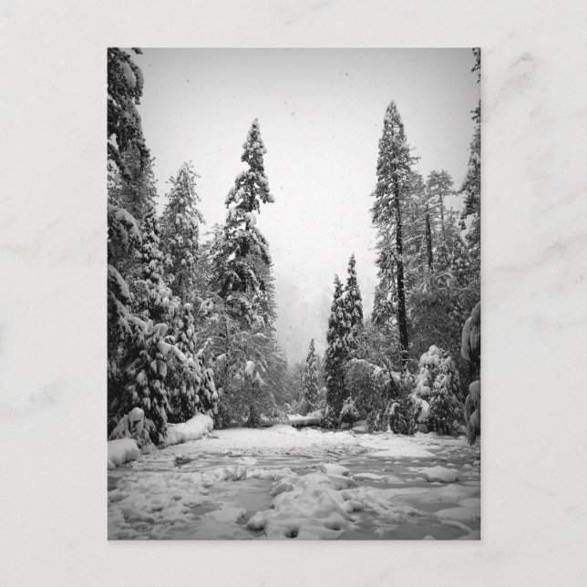 Yosemite National Park, California Postcard (Front)