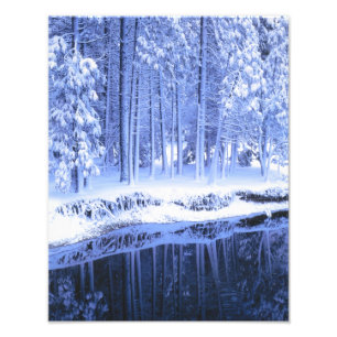 YOSEMITE NATIONAL PARK, CALIFORNIA. USA. Fresh Photo Print