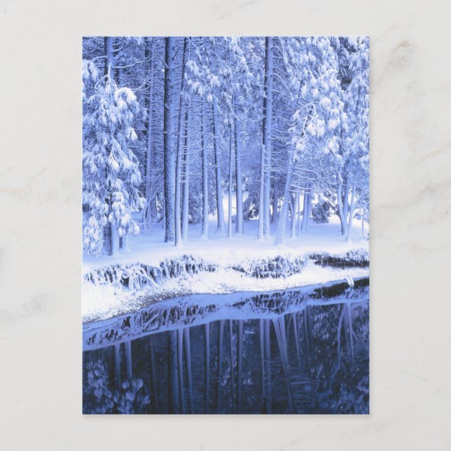 YOSEMITE NATIONAL PARK, CALIFORNIA. USA. Fresh Postcard (Front)