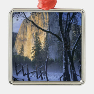 YOSEMITE NATIONAL PARK, CALIFORNIA. USA. Light Metal Tree Decoration