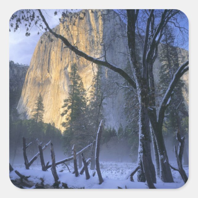 YOSEMITE NATIONAL PARK, CALIFORNIA. USA. Light Square Sticker (Front)