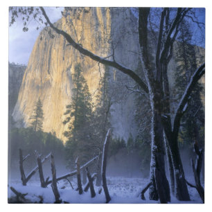 YOSEMITE NATIONAL PARK, CALIFORNIA. USA. Light Tile