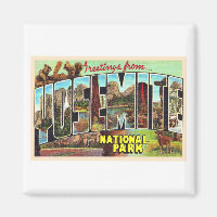 Yosemite National Park California Vintage Postcard