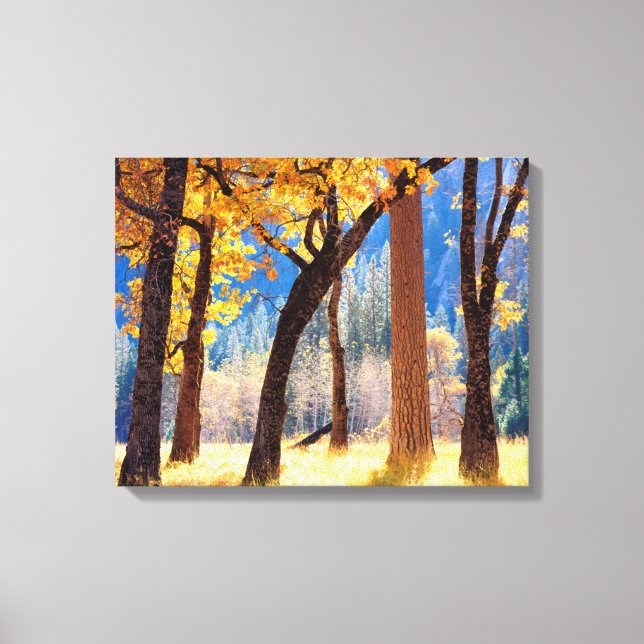 Yosemite National Park Canvas Print (Front)