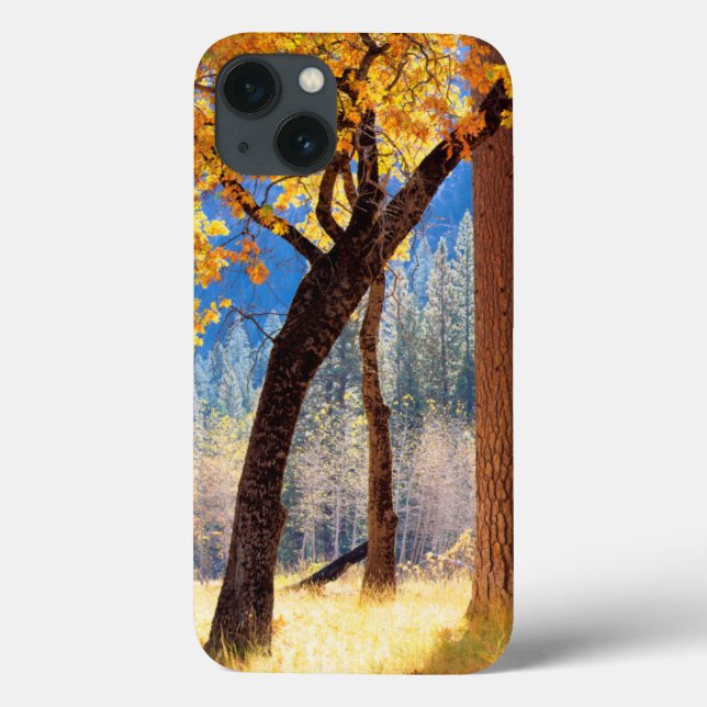 Yosemite National Park Case-Mate iPhone Case (Back)