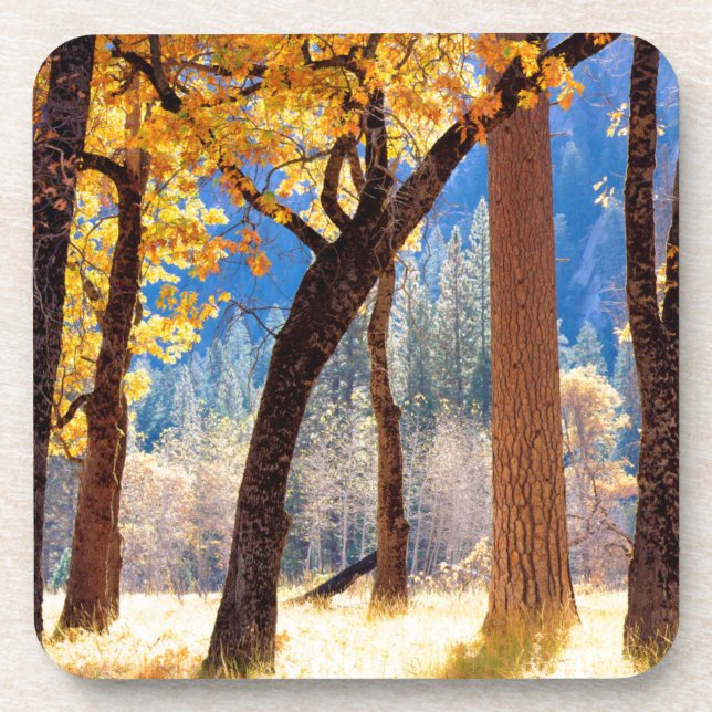 Yosemite National Park Coaster (Front)