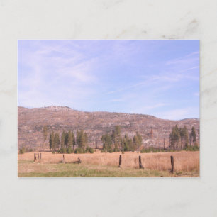 Yosemite National Park in California PostCard