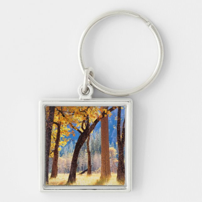 Yosemite National Park Key Ring (Front)