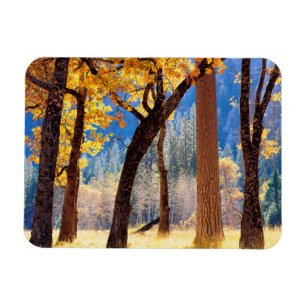 Yosemite National Park Magnet