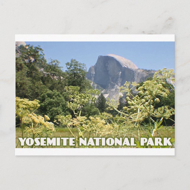 Yosemite National Park Postcard (Front)